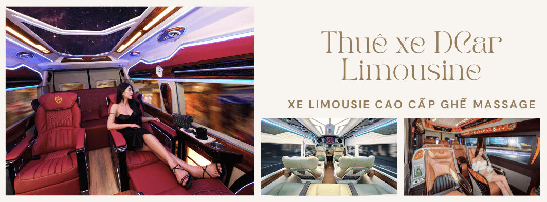 Thái Dương Limousine Bus