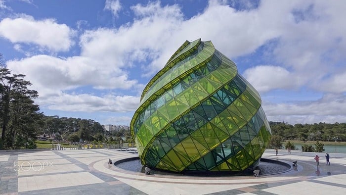 Du lịch Đà Lạt chiêm ngưỡng nụ hoa khổng lồ