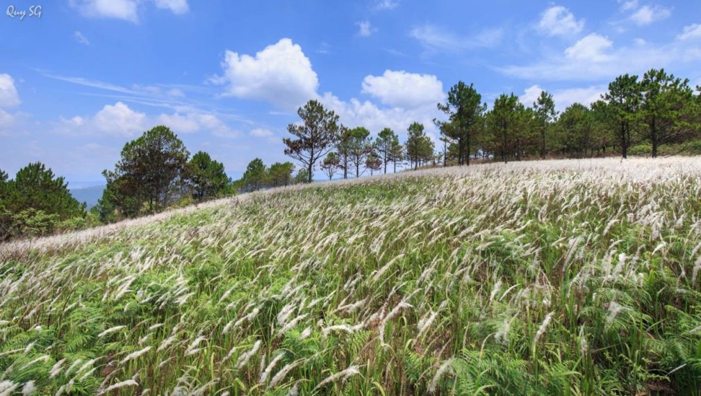 17991436_1380793938630360_776104649567548744_o