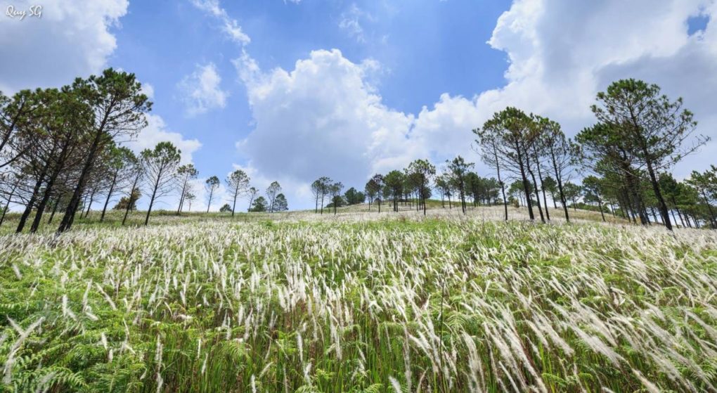 17991349_1380793935297027_5869807857491270126_o