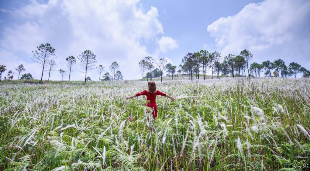 18056600_1380794331963654_961277048927270896_o