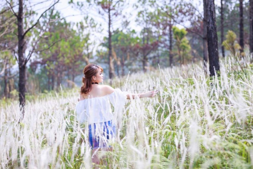 18053181_1308438292558625_323760315_o