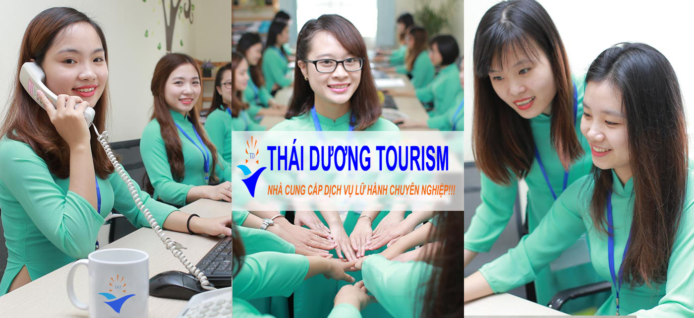 Tuyển nhân viên seo lĩnh vực cho thuê xe