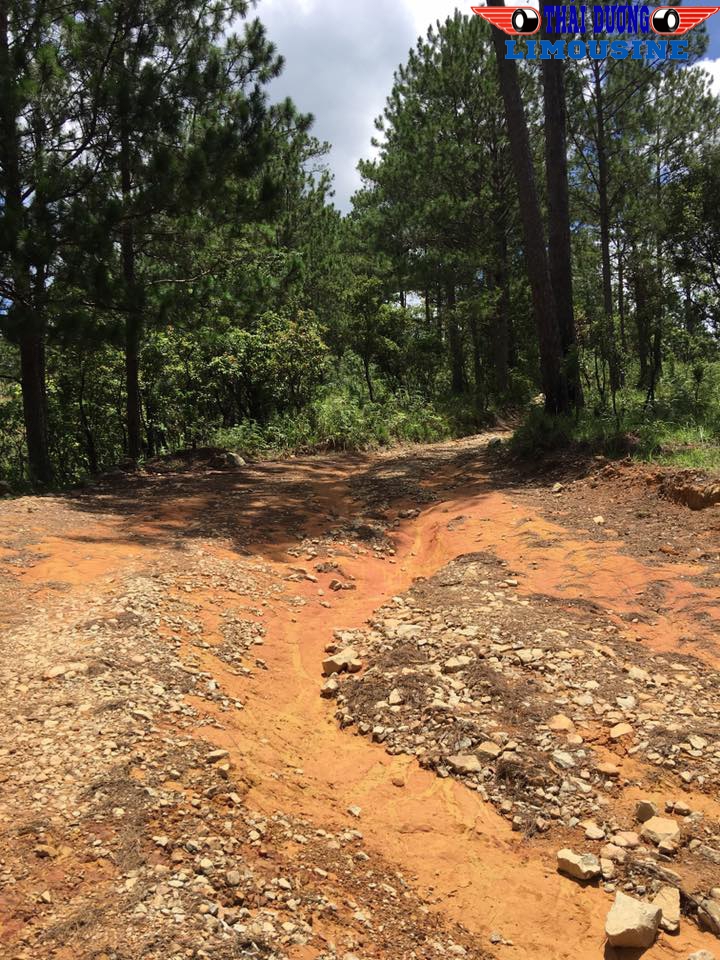 Hướng dẫn chi tiết đường đến “Tuyệt Tình Cốc”, điểm mới nổi ở Đà Lạt Hướng dẫn chi tiết đường đến “Tuyệt Tình Cốc”, điểm mới nổi ở Đà Lạt