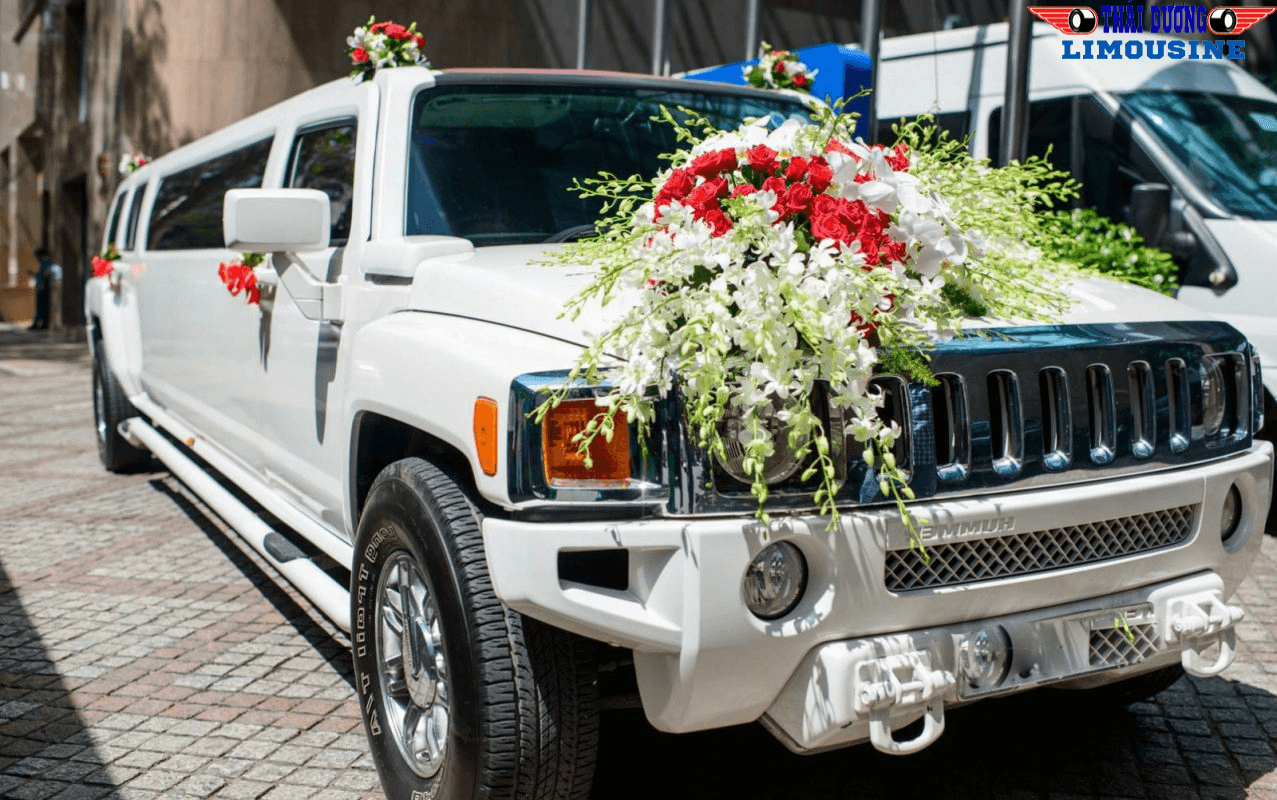 Thái Dương Limousine Bus