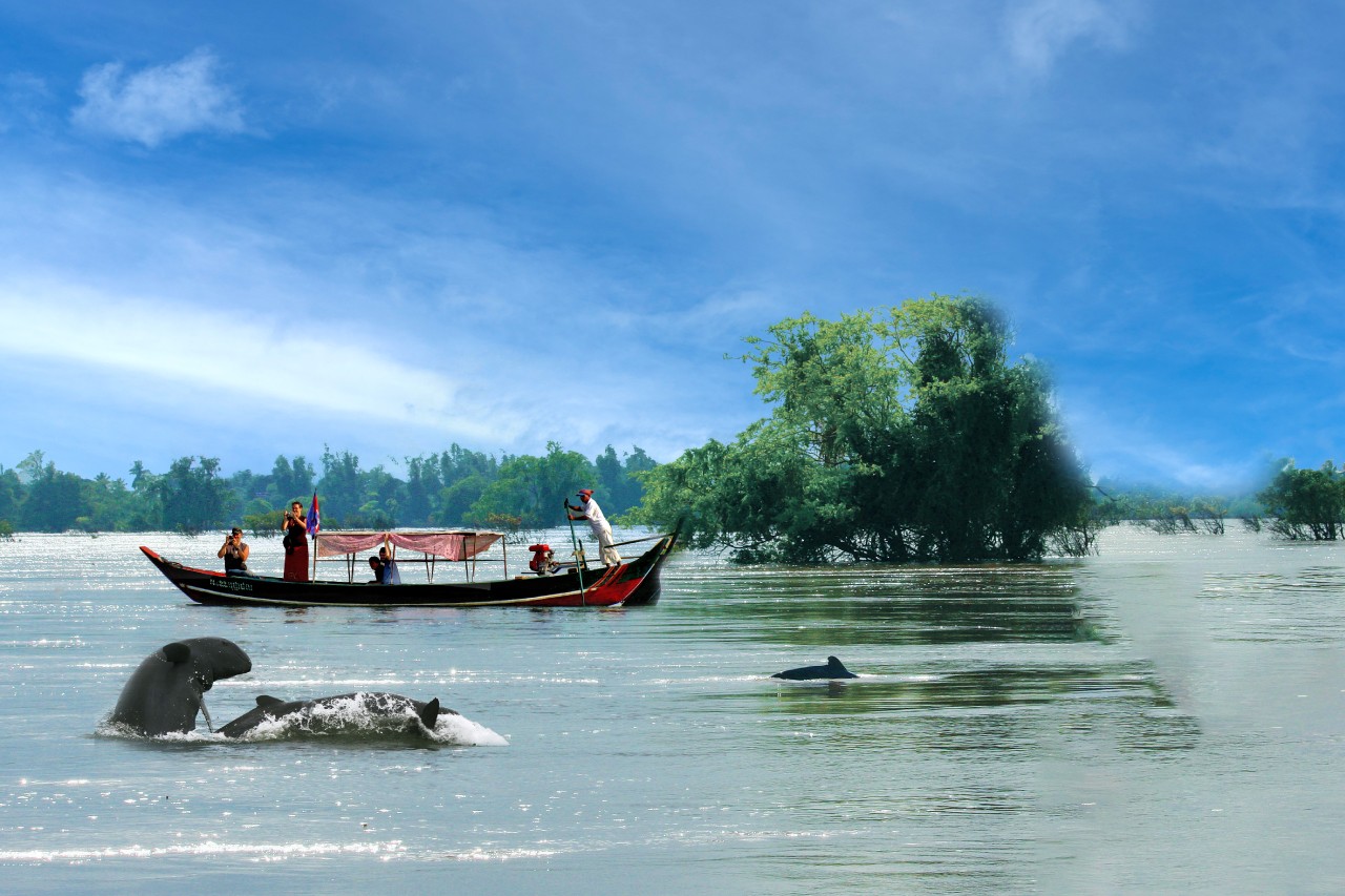 Thái Dương Limousine Bus