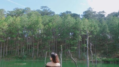 Những điểm check-in “quen mà lạ” ở Đà Lạt không thể bỏ lỡ trong dịp 30/4