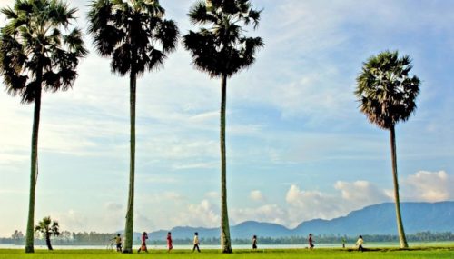 Cẩm nang du lịch Châu Đốc mùa nước nổi từ “A đến Z”