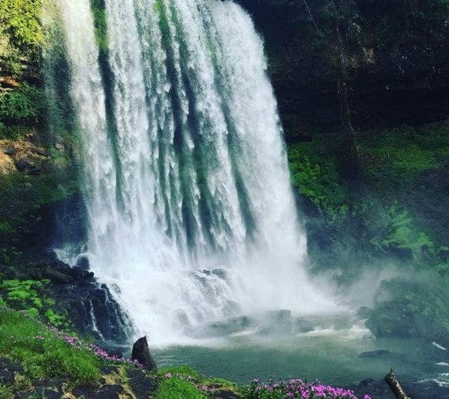 Thái Dương Limousine Bus