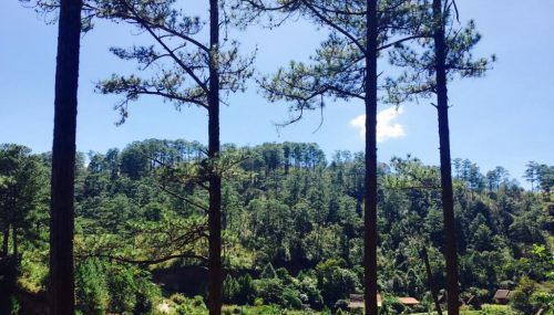 Trải nghiệm mộng mơ với Đà Lạt