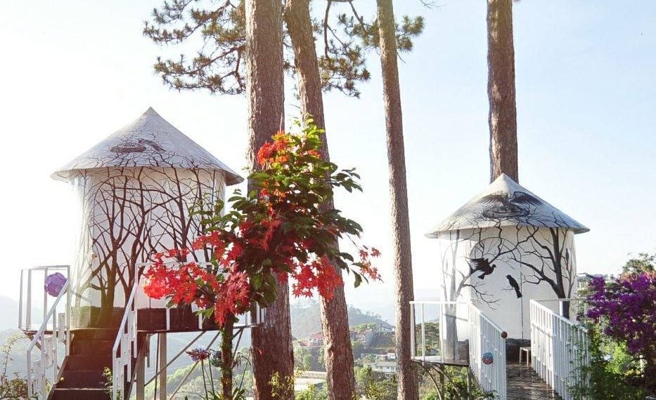 Thái Dương Limousine Bus