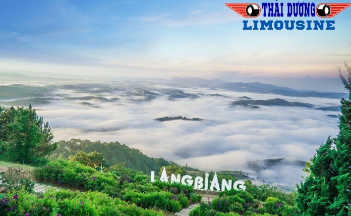 Kinh nghiệm du lịch Đà Lạt