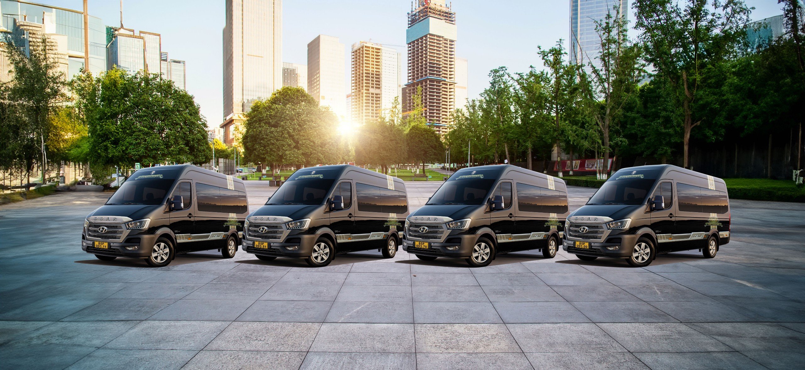 Thái Dương Limousine Bus